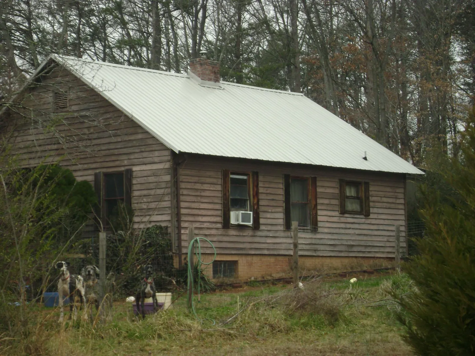 White metal roof on an old wood sided farmhouse, from a Metal Roof Installation job in Hyannis